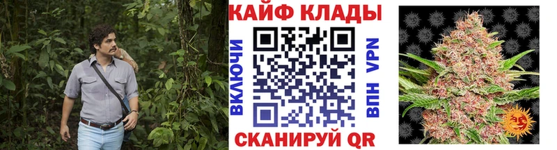 Купить Канабис  АМФ  Псилоцибиновые грибы  APVP  МЕФ  Зима