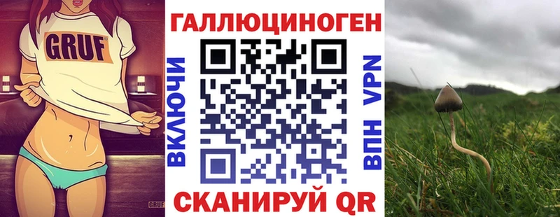 Купить где  Зима  Псилоцибиновые грибы Magic Shrooms 