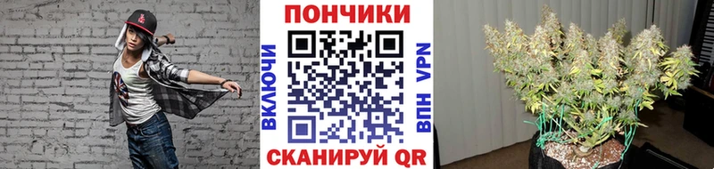Купить закладки Зима Конопля OG Kush